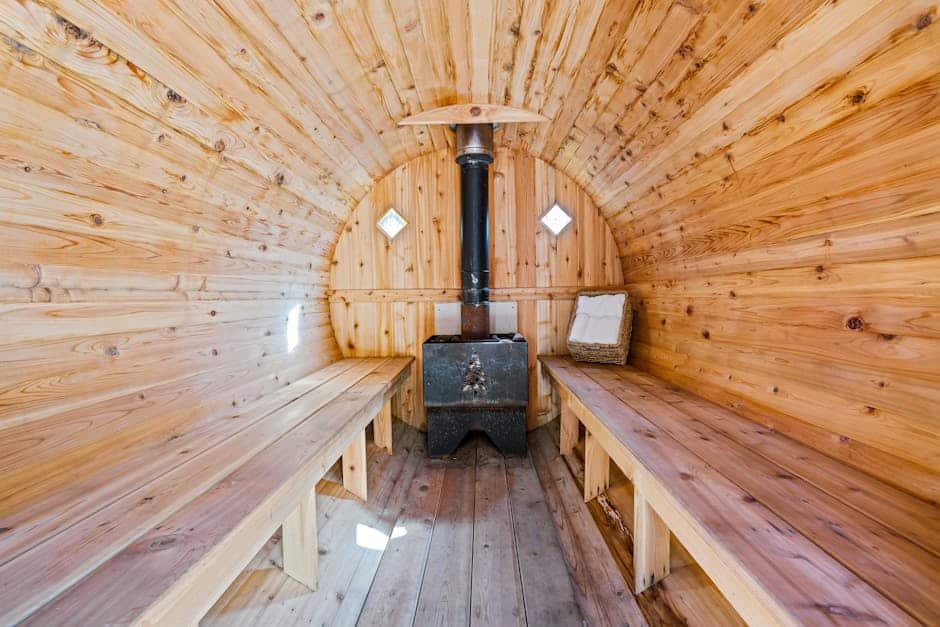 benefits of far infrared sauna detoxification